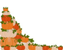 Vector Illustration Of A Background Of Orange And White Pumpkins Sitting On Autumn Leaves. Pumpkins Are Different Sizes On White Background.