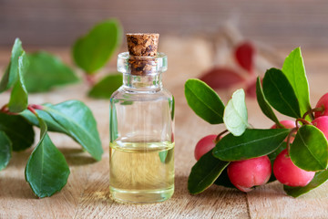 A bottle of wintergreen essential oil with fresh wintergreen