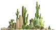 Decorative composition composed of groups of different species of cacti, aloe and succulent plants isolated on white background. Front view. 3D rendering.