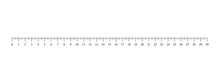 Ruler Scale. Vector Illustration