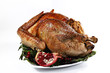Roast turkey isolated on white background, shallow focus