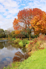 Wall Mural - midwest nature background with park view. beautiful autumn landscape with colorful trees around the 