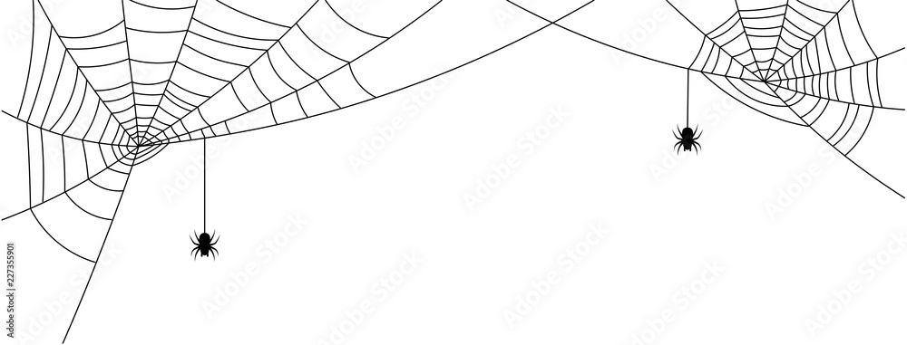 White Halloween banner with spiderweb and spiders. - obrazy, fototapety, plakaty 