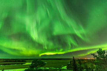 view from scandinavian hill to bright green aurora lights almost on the whole sky over tree tops in 