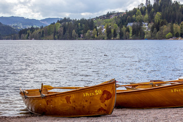 Wall Mural - Titisee Lake, Germany