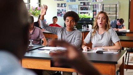 Wall Mural - Male High School Tutor Teaching Students In Biology Class