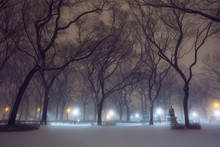 Snow Covered Central Park In NYC