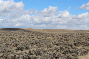 Wyoming's vast grazing land and sagebrush goes as far as the eye can see. There's some Prong horn eating off in the distance.