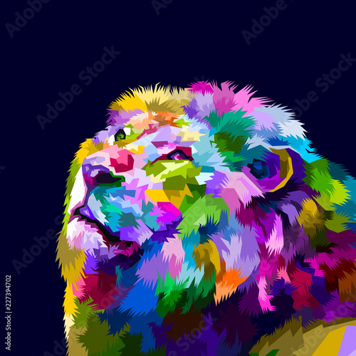 Fotomural colorful head lion's facing up