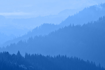 Wall Mural - Mountains covered with woods in the early morning light