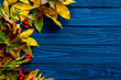 Autumn colors concept. Mockup with yellow leaves on blue wooden background top view copy space
