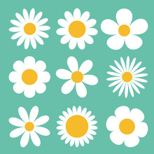 Camomile Set. White Daisy Chamomile Icon. Cute Round Flower Plant Collection. Love Card Symbol. Growing Concept. Flat Design. Green Background. Isolated.