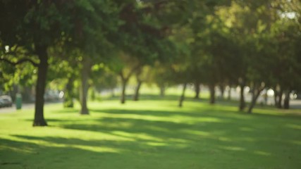 Blurred background of beautiful city park with lush trees and sunlight