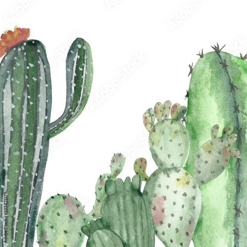 Foto-Schiebegardine Komplettsystem - Watercolor banner of multi-colored cacti (von Natalia)