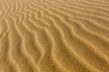  Close-up photography of endless sand ripples made from the wind