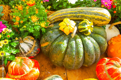 Seasonal Farmers Market Goods Display Colorful Pumpkin For Autumn