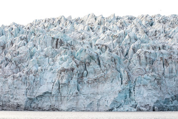 Wall Mural - isfjorden glacier front of blue ice in svalbard on a summer day.