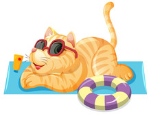 A Cat On Summer Theme