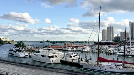 Wall Mural - Downtown Miami panoramic view from Port Boulevard, Florida