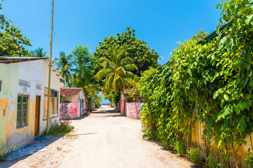 Wall Mural - One of the central streets of small tropical island  Hangnaameedhoo, overlooking the Indies ocean, Maledives. Copy space for text.