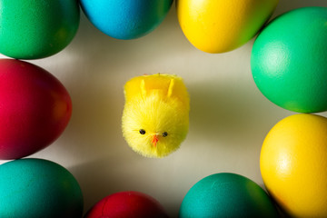  Easter chick and Easter eggs on white background