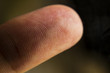 An extreme macro closeup of a fingertip