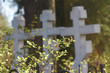 stone crosses in the cemetery