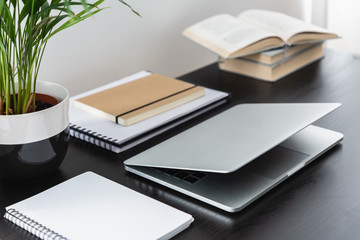 Close-up on black desk with plant, books and laptop in modern freelancer's interior. Real photo