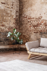 Wall Mural - Plant next to grey sofa in industral room interior with carpet and red brick wall. Real photo