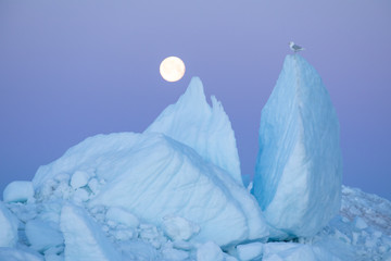 Wall Mural - magical night with full moon and a seagull in alpen glow. disko bay, greenland.