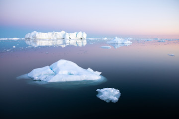 Wall Mural - early morning summer alpenglow lighting up icebergs during midnight season. ilulissat, greenland.