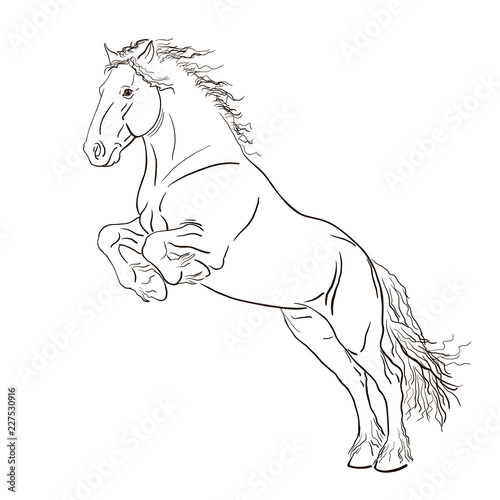A Sketch Of A Jumping Horse Buy This Stock Vector And