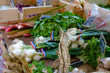 Fototapeta  - French Market