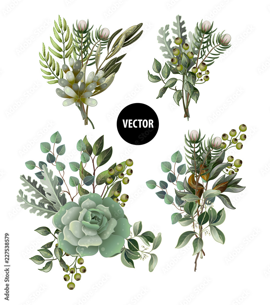 Set of greenery leaves and succulent bouquet in watercolor style. Eucalyptus, magnolia, fern and other  vector illustration. - obrazy, fototapety, plakaty 