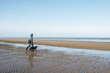 Male Walking His Dog On A Vast Empty Beach. Holkham, Norfolk, UK