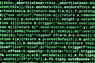 Computer program preview. Programming code typing. Information technology website coding standards for web design