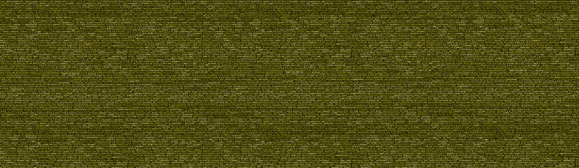 Computer program preview. Programming code typing. Information technology website coding standards for web design