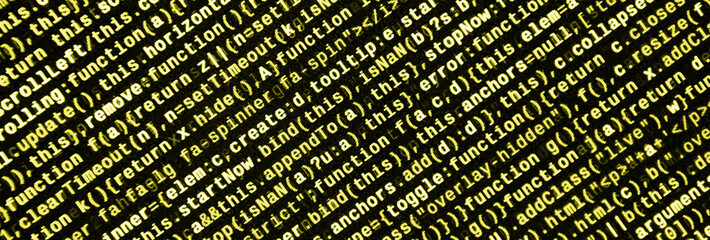 Computer program preview. Programming code typing. Information technology website coding standards for web design
