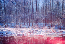 Cold Snow Covered Forest Behind A Warm Red River Of Water