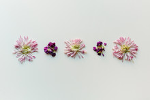 Deconstructed Purple And Pink Flowers