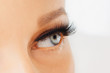 © Olesia - Female eye with extreme long false eyelashes and black liner. Eyelash extensions, make-up, cosmetics, beauty