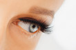 © Olesia - Female eye with extreme long false eyelashes. Eyelash extensions, make-up, cosmetics, beauty
