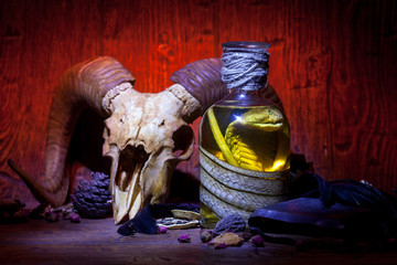 Wall Mural - Snake cobra in the bottle, ram skull, old books, dry rose and crow quill on old wooden desk. Vintage witchcraft still life.