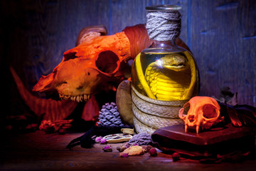 Wall Mural - Snake cobra in the bottle, cat skull, ram skull, old books, dry rose and crow quill on old wooden desk. Vintage witchcraft still life.