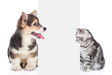Aufkleber - Cat and dog sitting and peeking behind empty white board. isolated on white background. Space for text