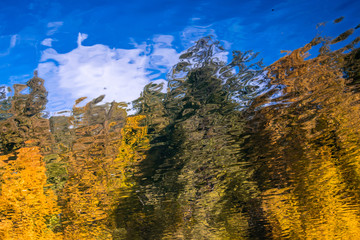 Wall Mural - the reflection of autumn trees in the water