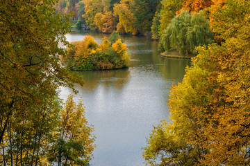 Wall Mural - autumn trees on the island and over the pond in the park