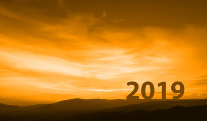 Wall Mural - New year 2019