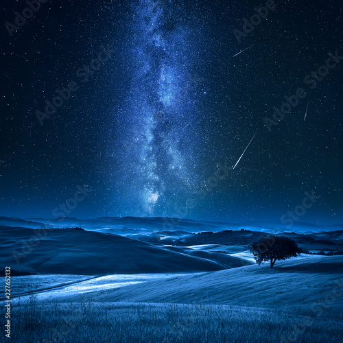 Tree on field with milky wa...