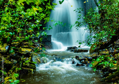 Waterfall at Harmby Falls in the forest